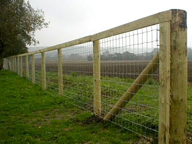 Cattle fences