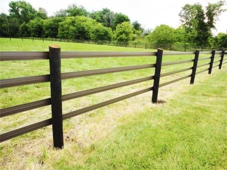 Cattle fences