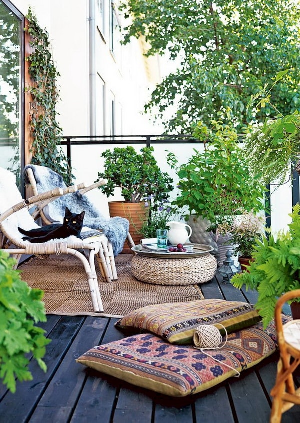 Plants for terraces or balconies