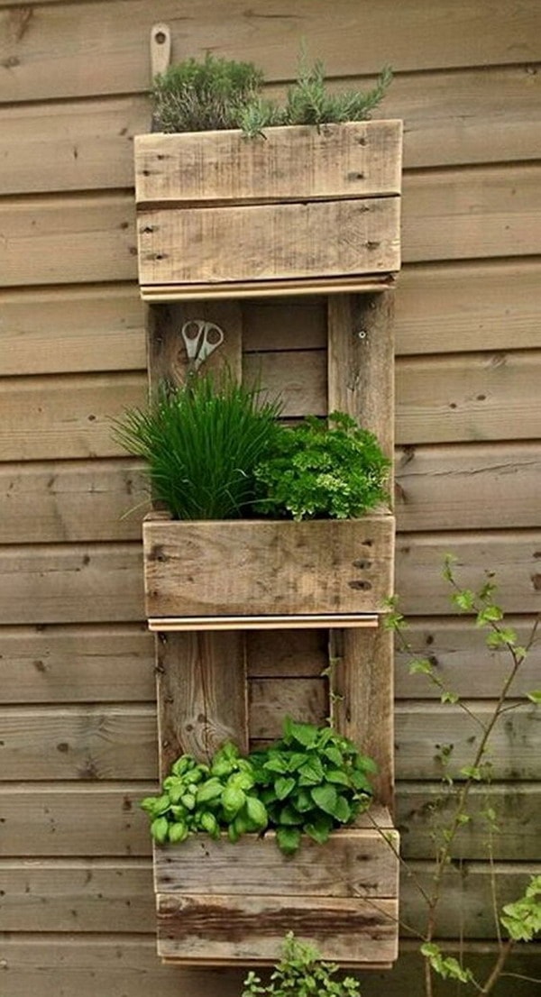 Vertical garden made with wooden planks