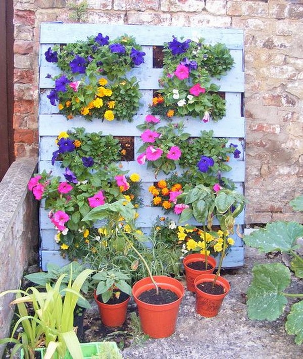 Flowers on wooden pallets