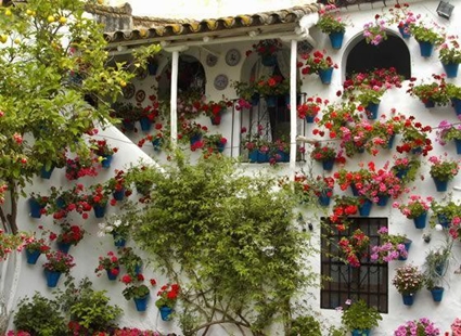 Decoration of Andalusian balconies