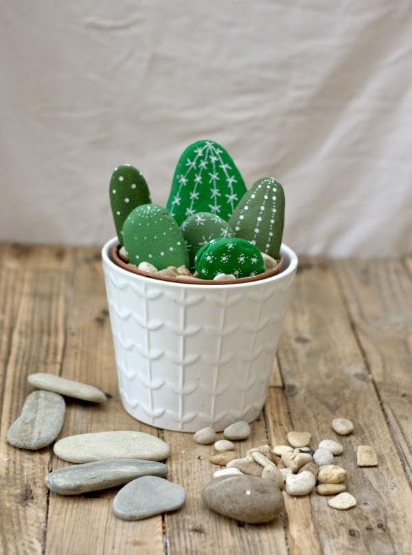 Cactus with painted stones