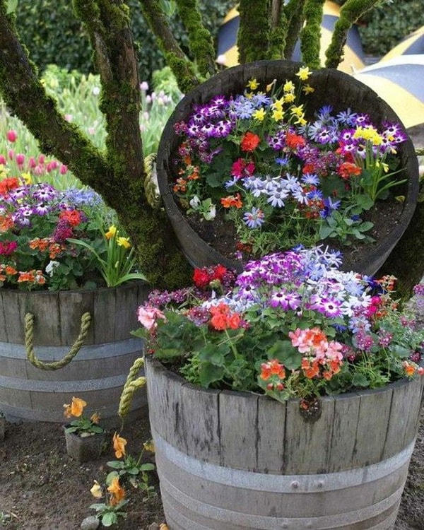 Flowers in recycled barrels