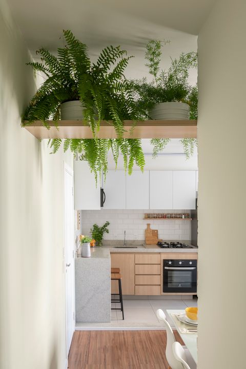 open kitchen decorated with plants and wooden cabinets