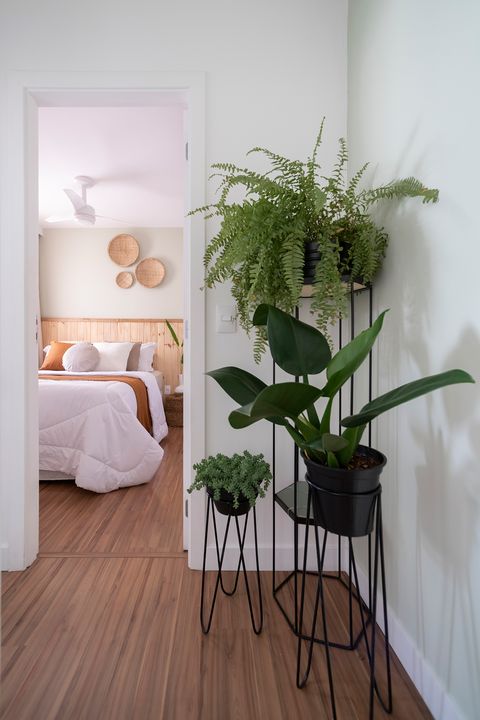 entrance to the bedroom decorated with black plants and tall pots