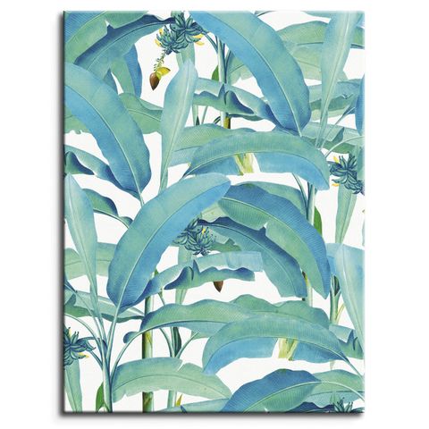 banana forest canvas print by posterlounge