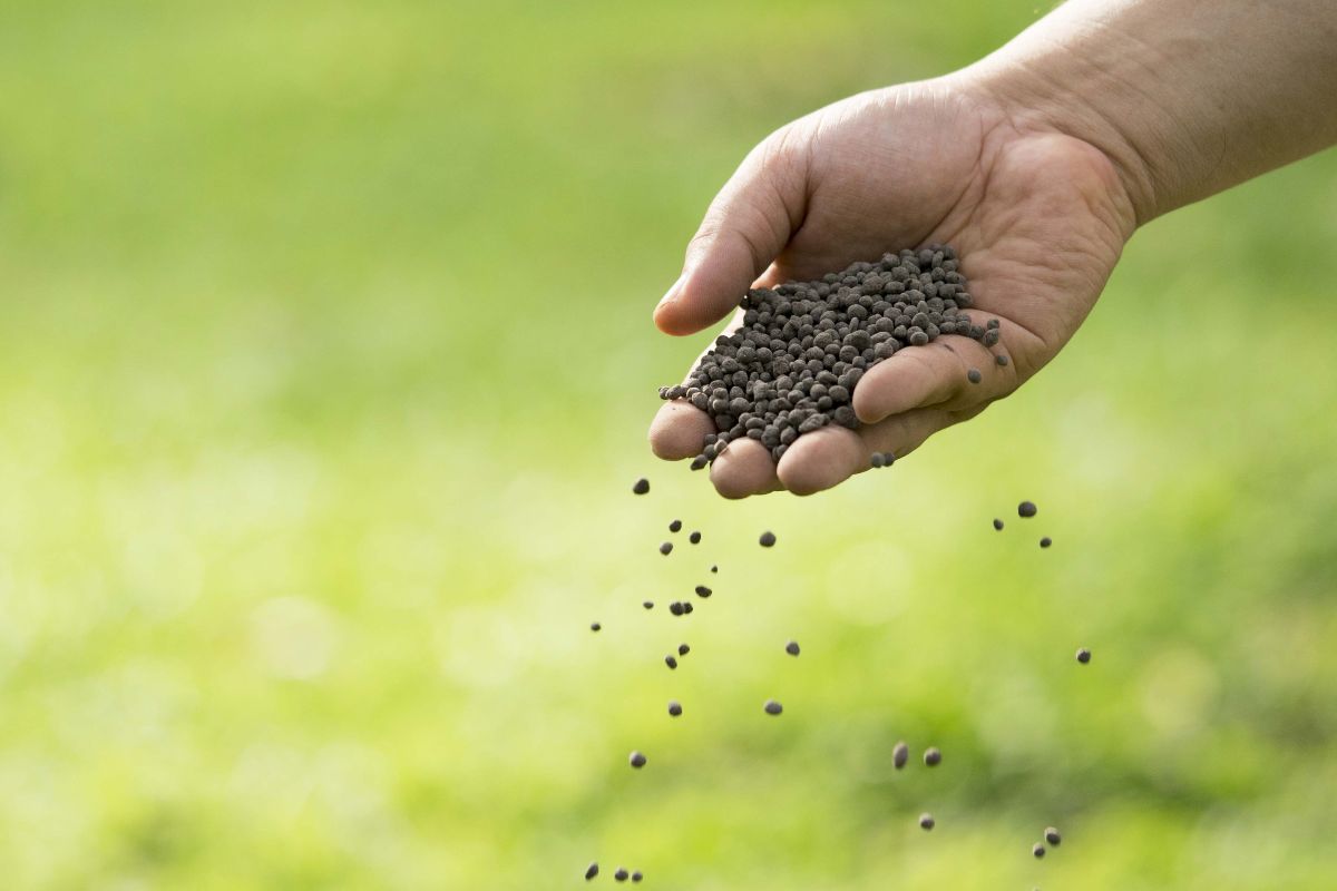 Which fertilizer to use to make a soil fertile 3