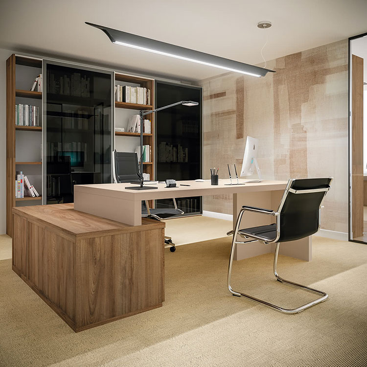 Ideas for furnishing a modern executive office n.01
