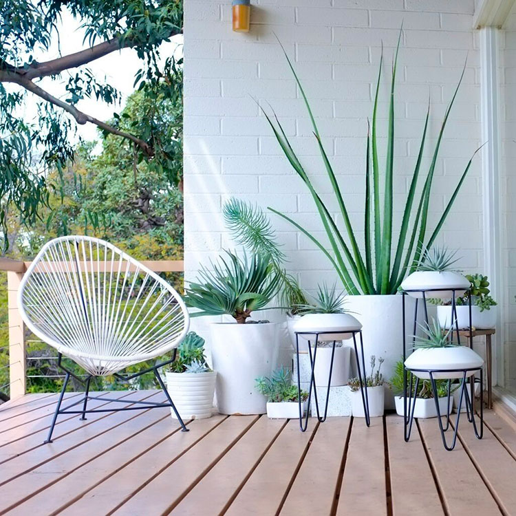 Ideas for decorating a balcony with plants n.04