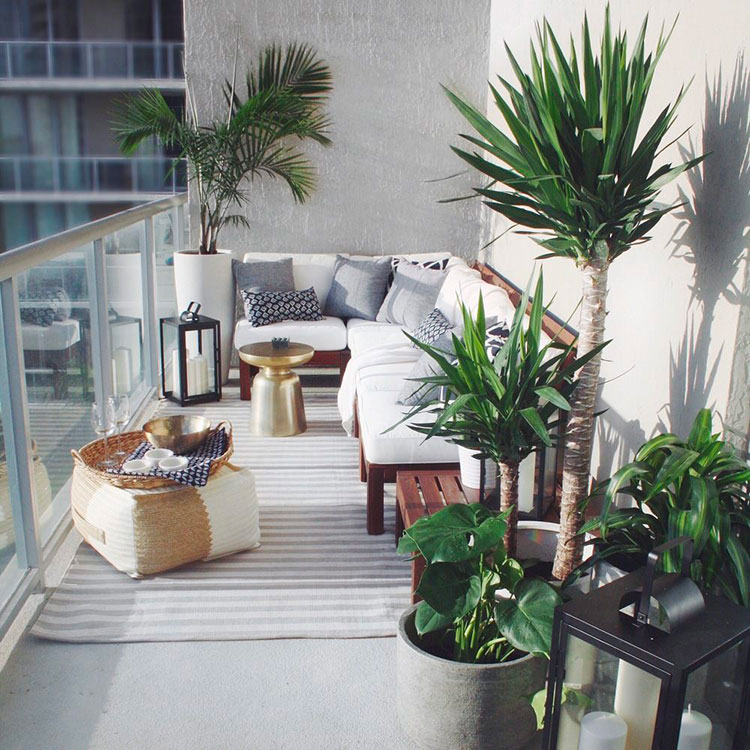 Ideas for decorating a balcony with plants n.05