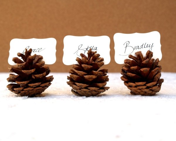 pinecone placeholder