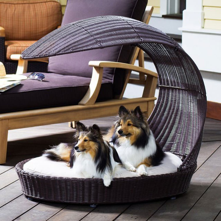 Garden bed for dogs with a modern design