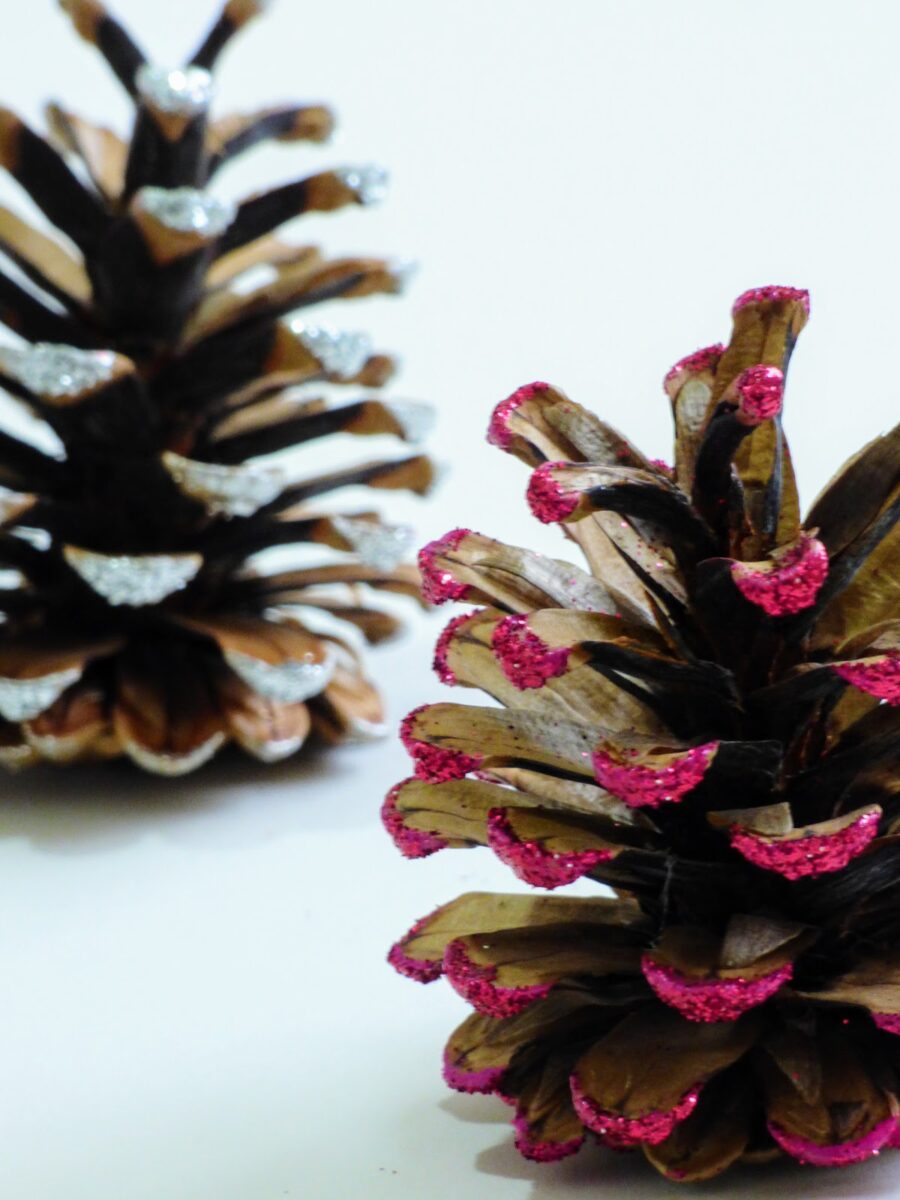 diy-christmas-decorations-with-pine-cones-8