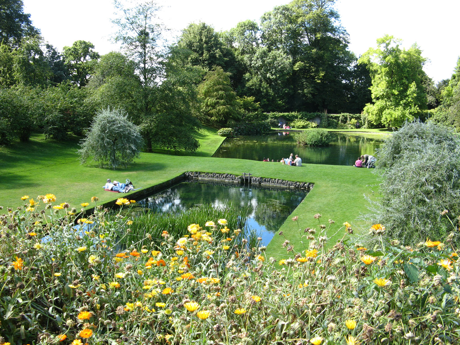 Photo of the garden pond 39