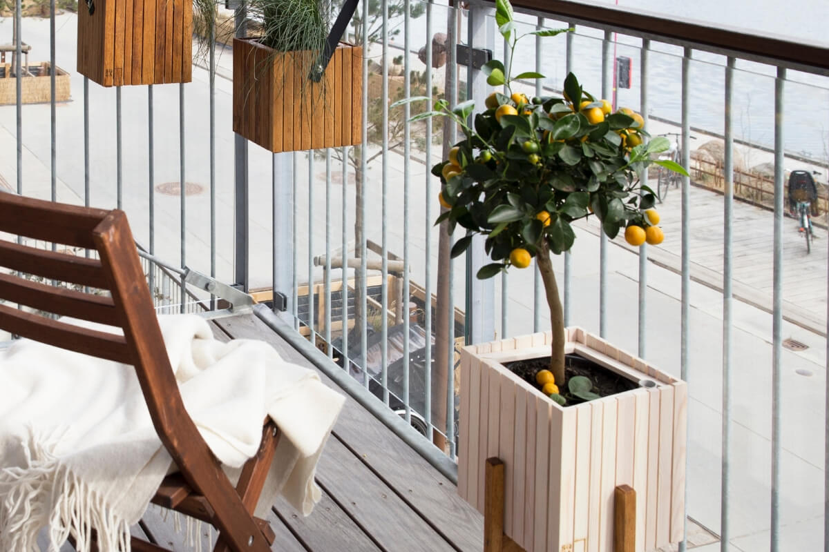 how-to-choose-plant-saucer-balcony 13