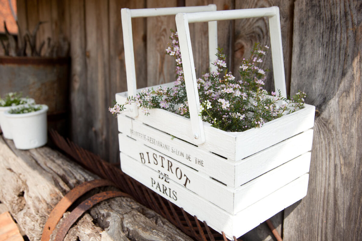 beautify-garden-march-box