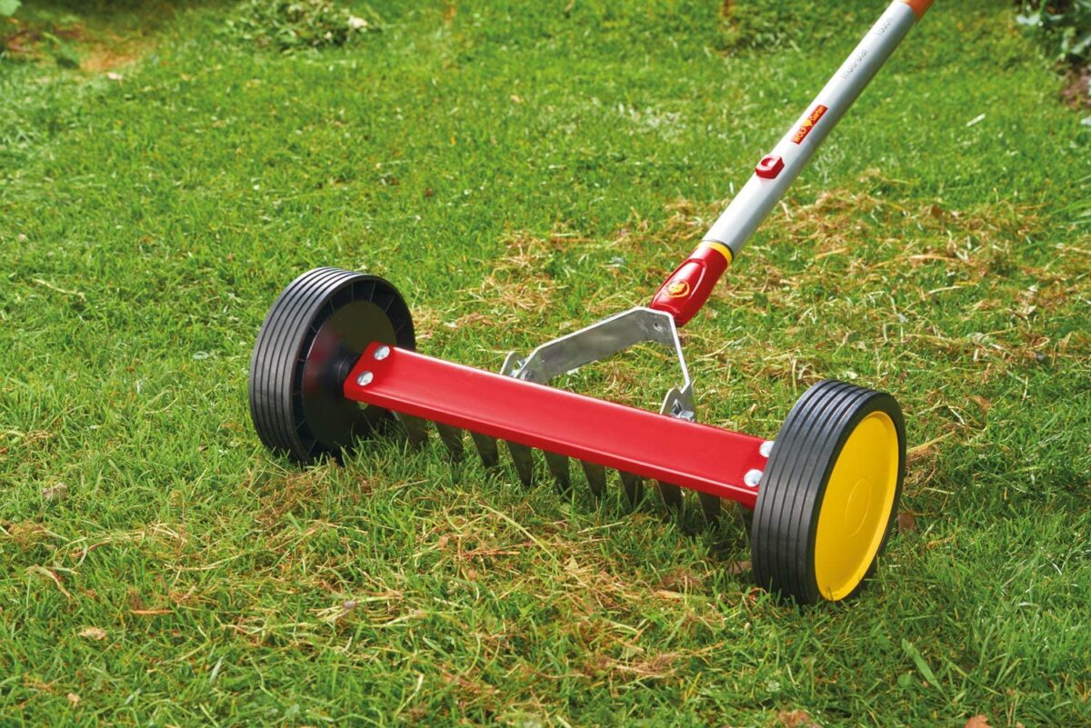 how-to-choose-scarifier-11