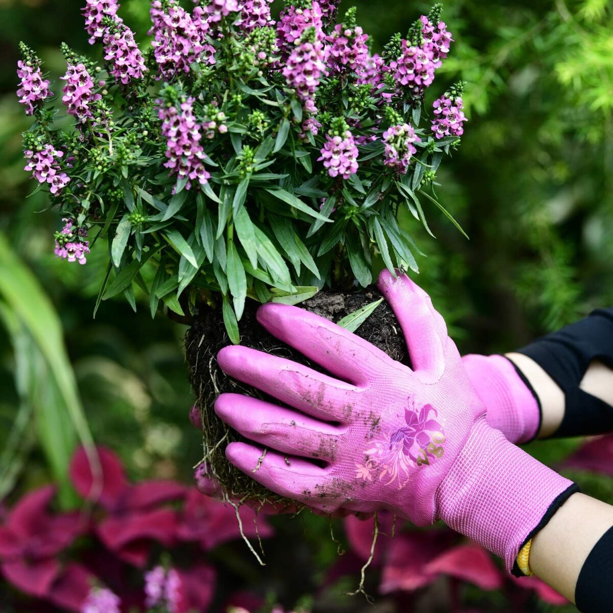 how-to-choose-gardening-gloves-8