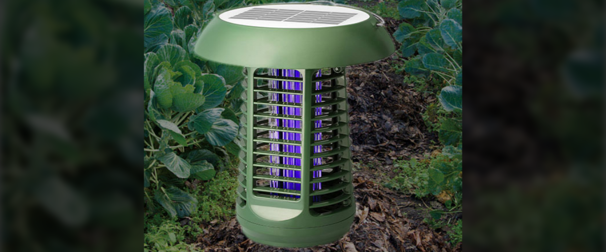 Can I Leave My Bug Zapper On In The Rain?