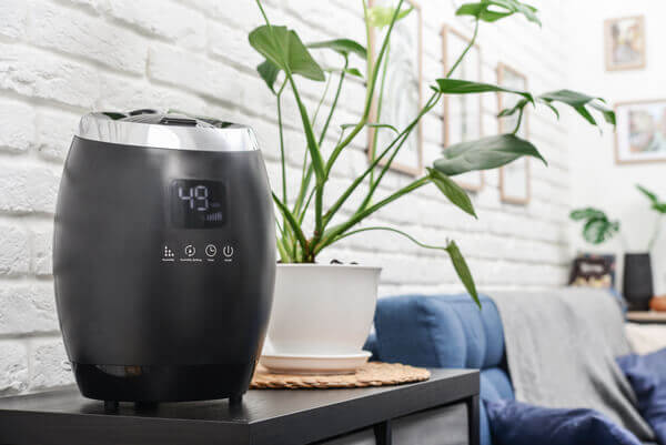 Should A Humidifier Be Placed High Or Low?