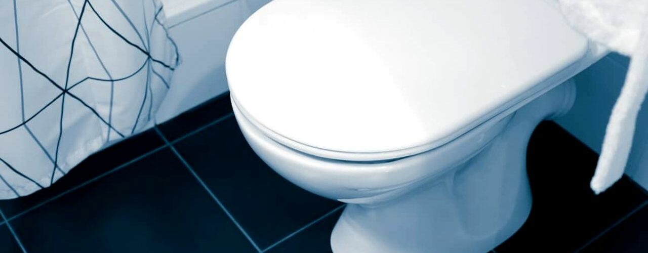 What Is A Bariatric Toilet Seat? Decor Scan The new way of thinking