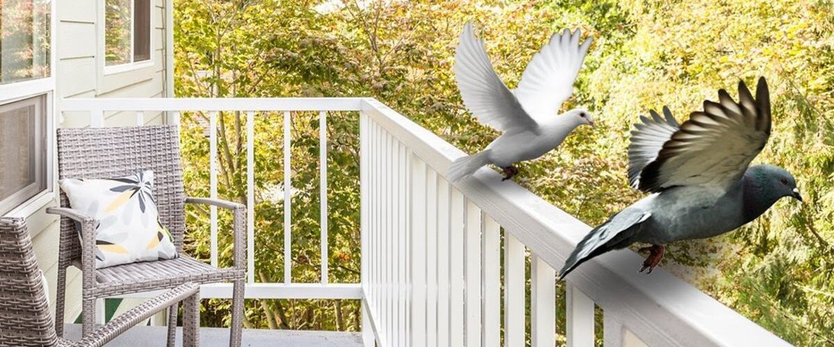 Will Aluminum Foil Deter Birds?